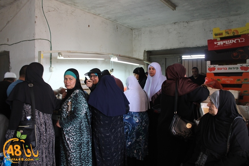 a7bab aqsa farawla (32).JPG